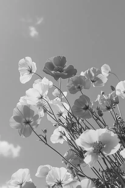 Creative projects - original version