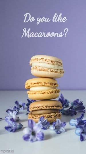Macaroons Instagram Story