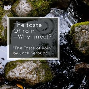 Haiku The Taste of Rain