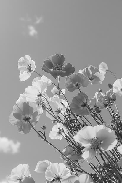 Creative projects - original version